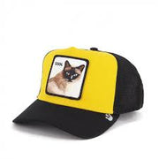 Cappello Goorin Cool Cat